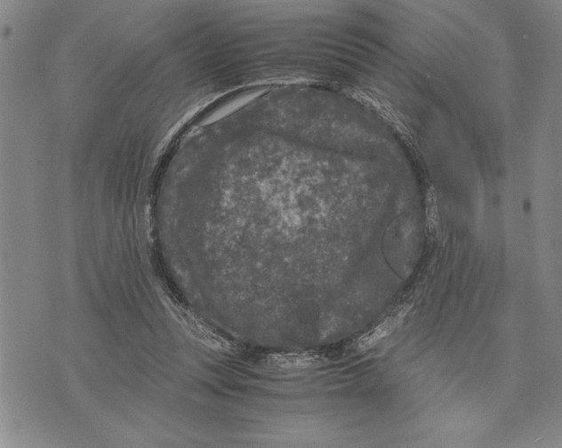 X0000075840351200610151550