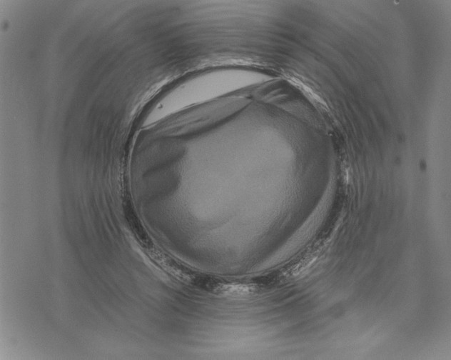 X0000075840352200610151551