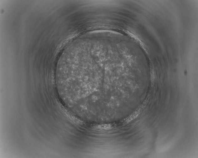 X0000075840353200610151551