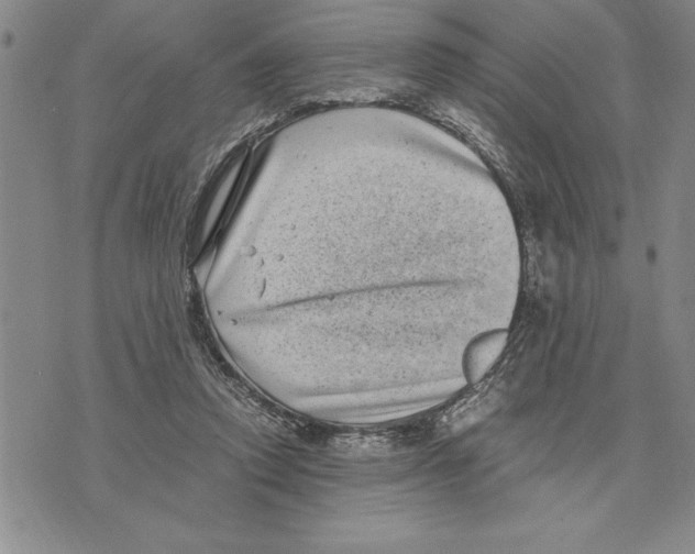 X0000075840354200610151551