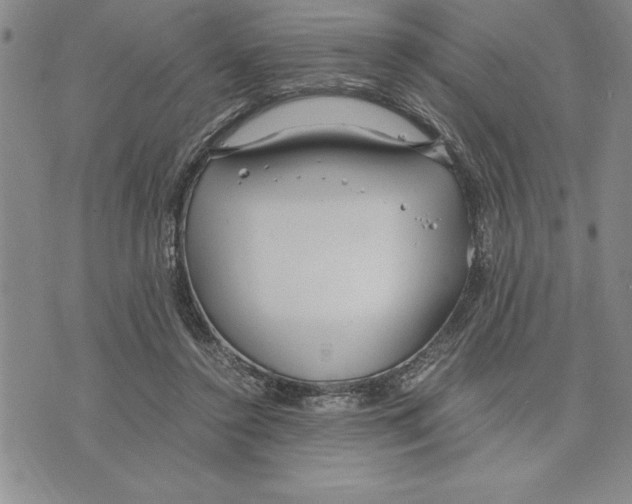 X0000075840356200610151551