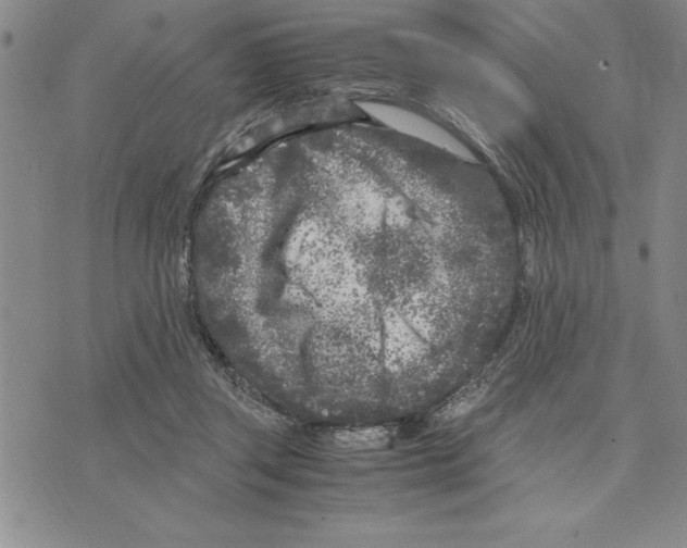 X0000075840357200610151551