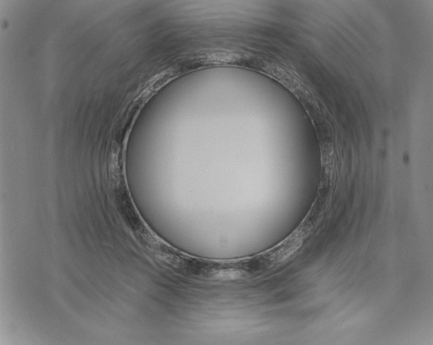 X0000075840360200610151551