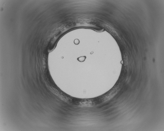 X0000075840362200610151551