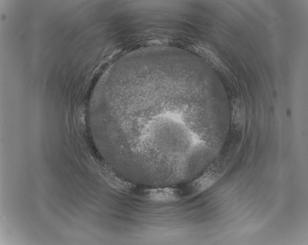 X0000075840363200610151551