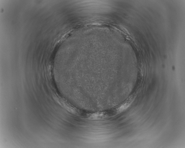 X0000075840366200610151551