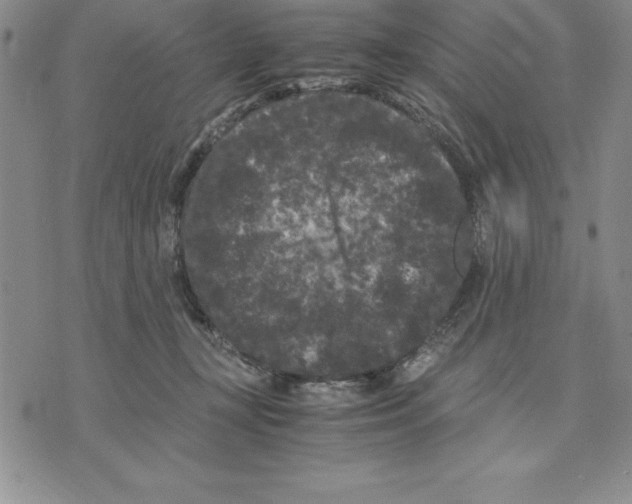 X0000075840367200610151551