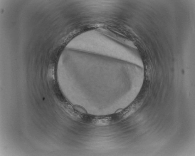 X0000075840368200610151551