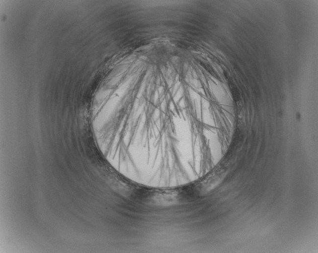 X0000075840369200610151551