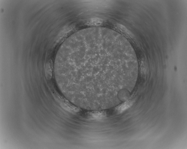 X0000075840370200610151551