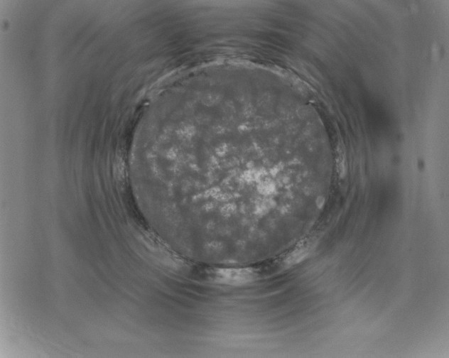 X0000075840371200610151551