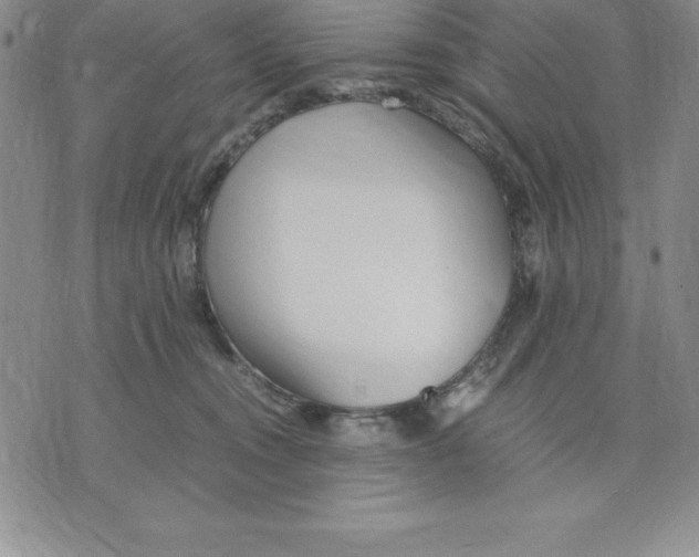 X0000075840372200610151551