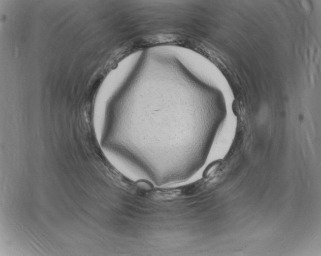 X0000075840373200610151551