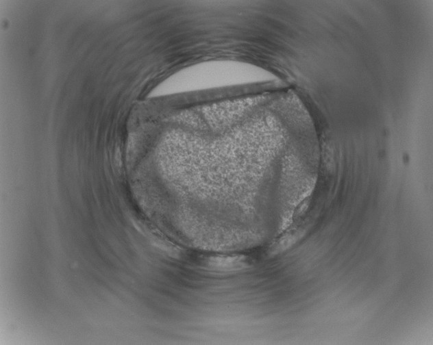 X0000075840375200610151551