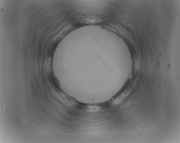 X0000075840376200610151551