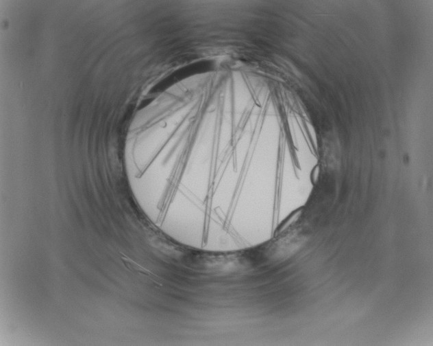 X0000075840377200610151551