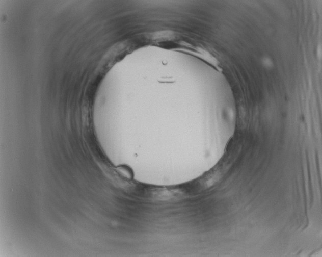 X0000075840379200610151551