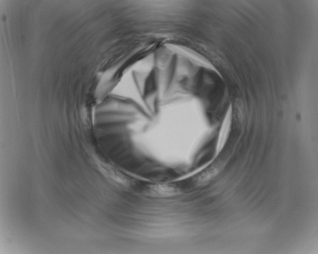 X0000075840380200610151551