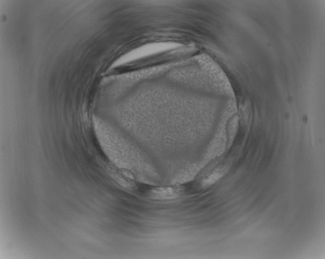 X0000075840381200610151551