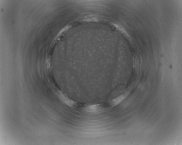 X0000075840382200610151551