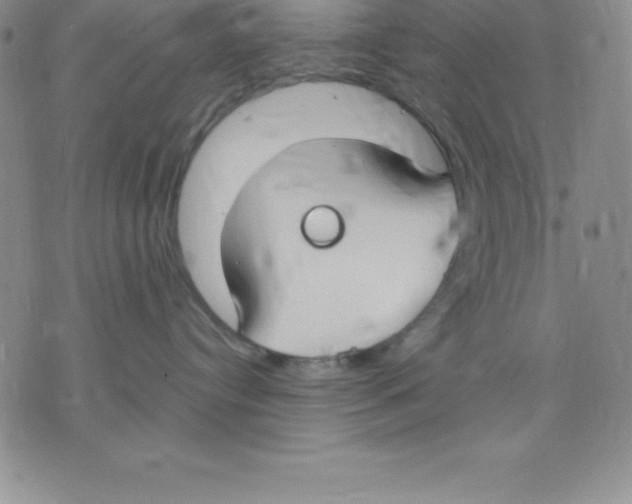 X0000075840384200610151551