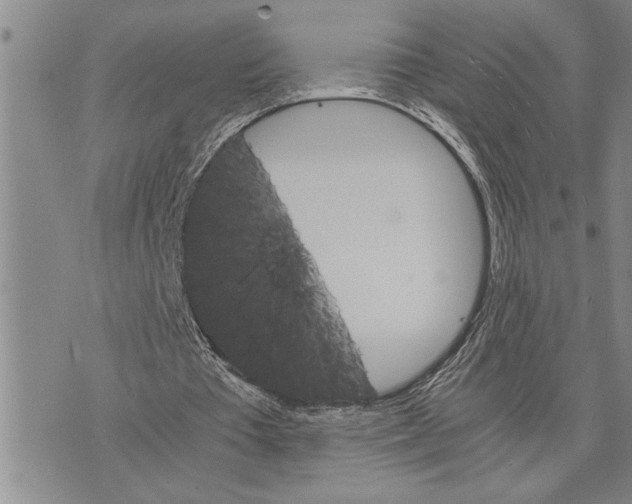 X0000075840385200610151550