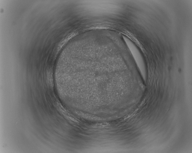 X0000075840386200610151550