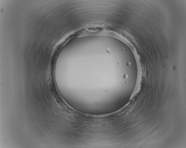 X0000075840388200610151550