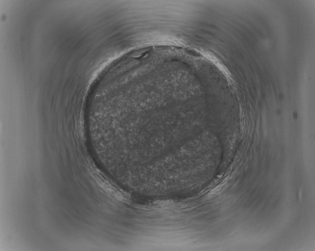 X0000075840391200610151550