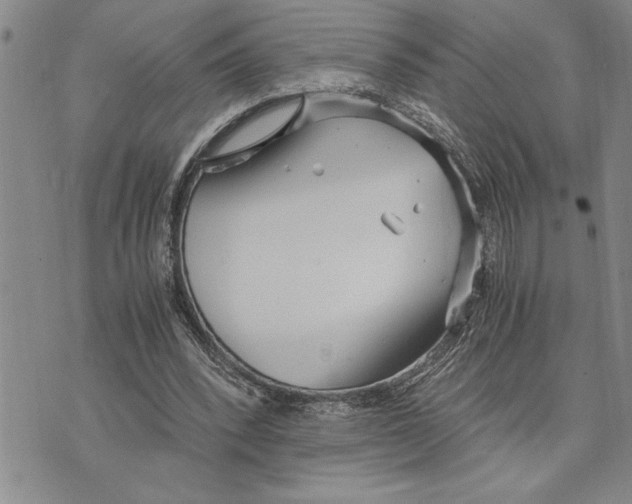 X0000075840392200610151550