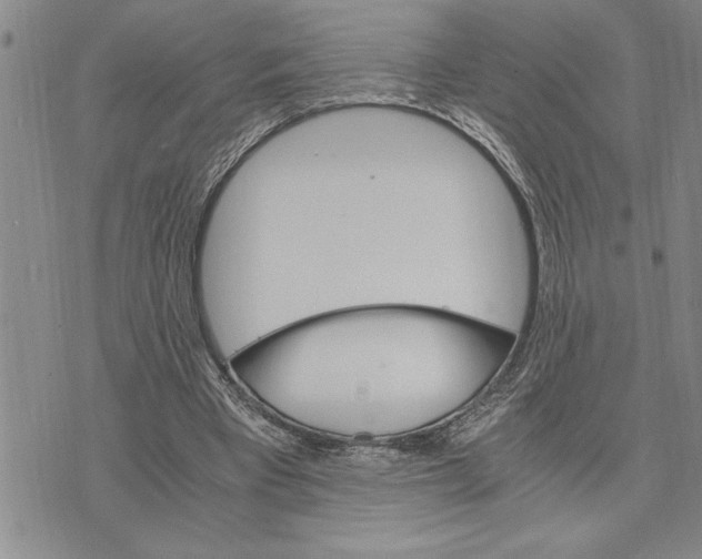 X0000075840393200610151550