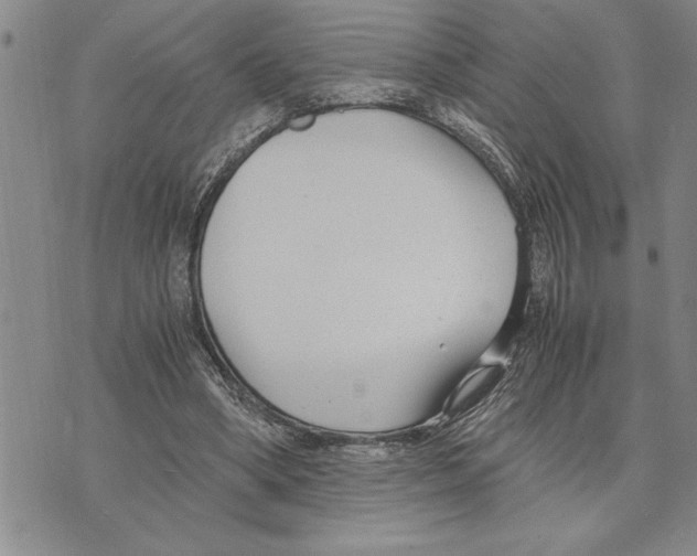 X0000075840394200610151550