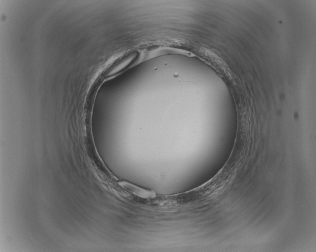 X0000075840395200610151550