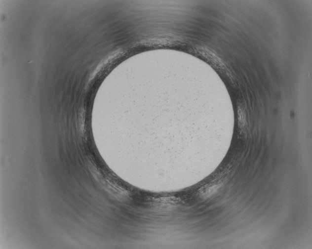 X0000075840396200610151550