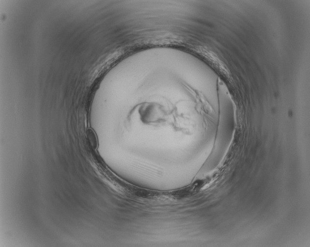 X0000075840397200610151550