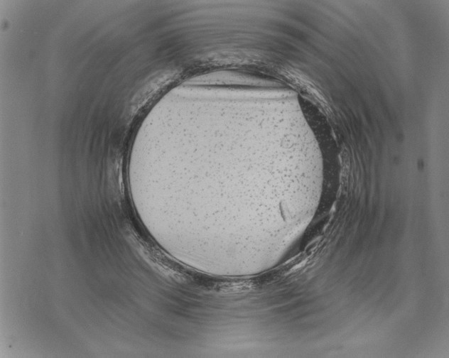 X0000075840398200610151550