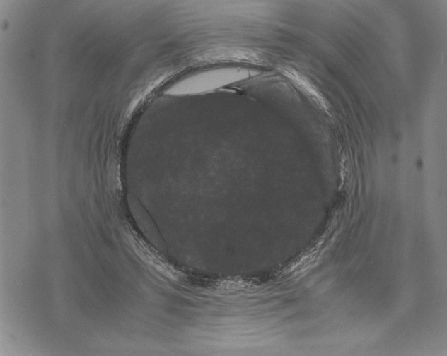 X0000075840399200610151550