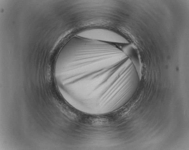 X0000075840400200610151550