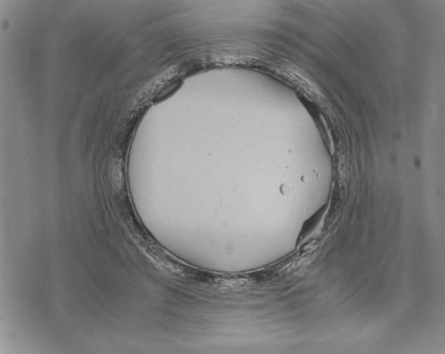 X0000075840401200610151550