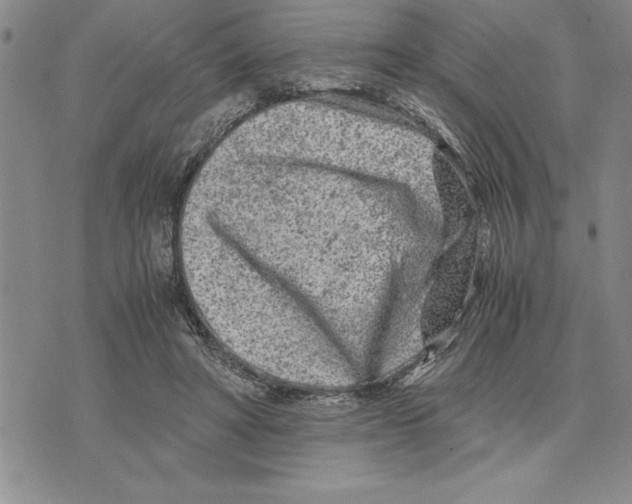 X0000075840402200610151550