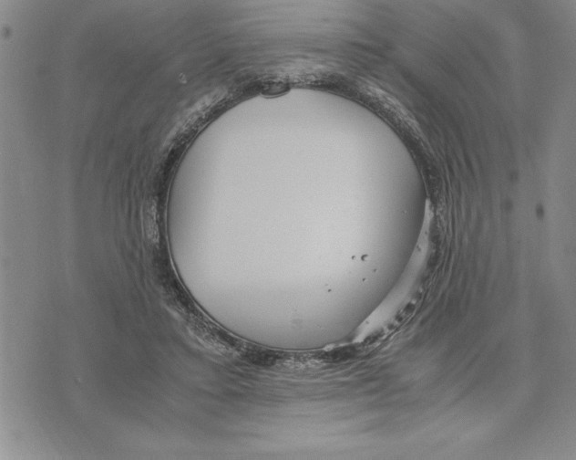 X0000075840403200610151550