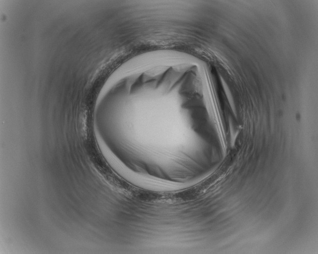 X0000075840404200610151550