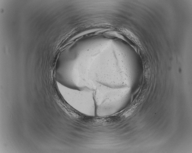 X0000075840405200610151550