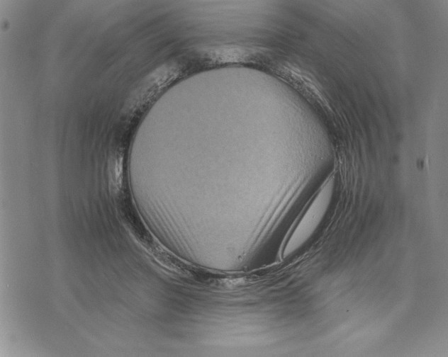 X0000075840406200610151550