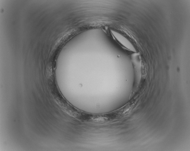 X0000075840407200610151550