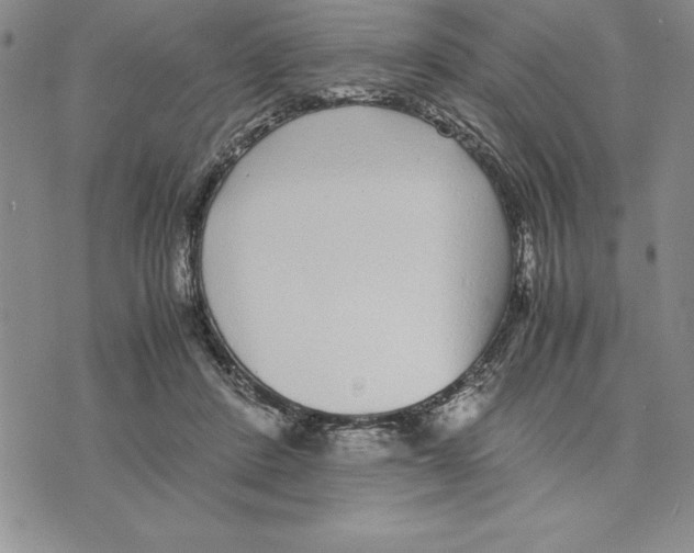 X0000075840408200610151550