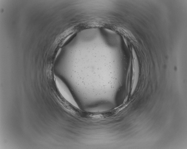 X0000075840409200610151550