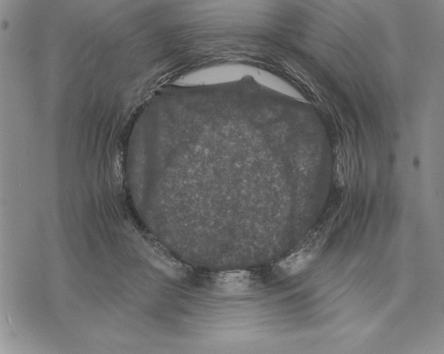 X0000075840410200610151550