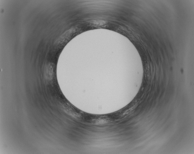 X0000075840412200610151550