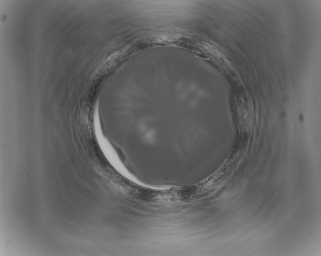 X0000075840415200610151550